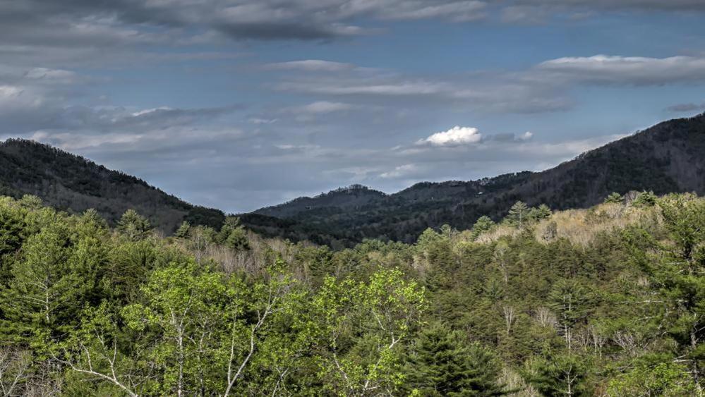 Honey Bear Lodge Blue Ridge Extérieur photo